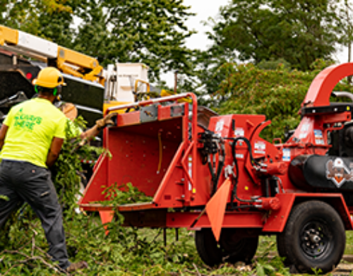 Eeger Beever 1415 Brush Chipper Product Images