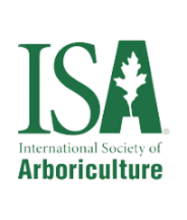 ISA